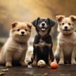 trois chiens sociables qui jouent ensemble